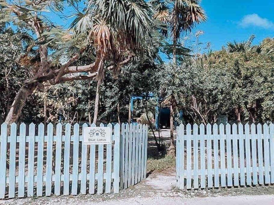 Vacation Home Blue Lotus Caye Caulker Exterior photo